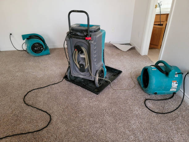 Local water damage restoration in OH
