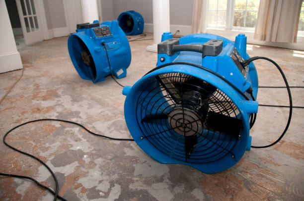 Best Water damage contractors near me  in East Cleveland, OH