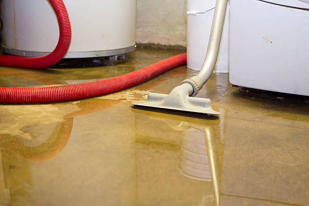 Best 24/7 water damage repair  in East Cleveland, OH