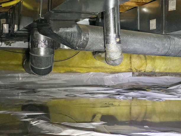 Best Local water damage restoration  in East Cleveland, OH