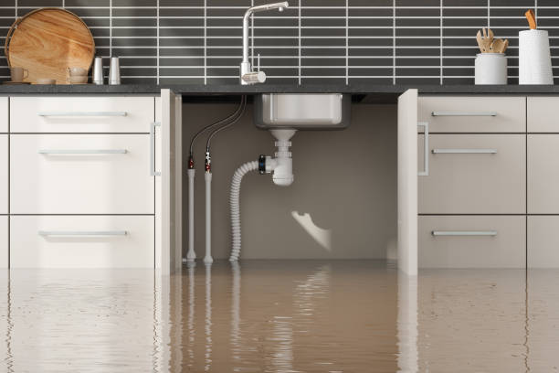 Best 24/7 water damage repair  in East Cleveland, OH