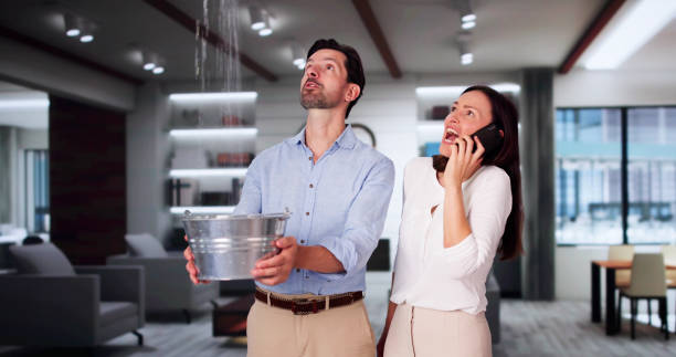 Best 24-hour water damage restoration  in East Cleveland, OH